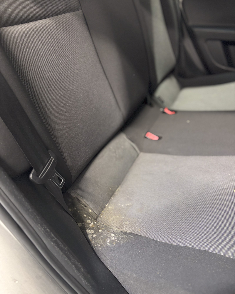 Mold removal and sanitization interior Volkswagen UP 